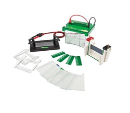 Electrophoresis