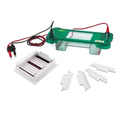 Electrophoresis