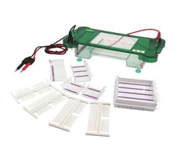 Electrophoresis