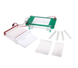 Electrophoresis