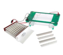 Electrophoresis